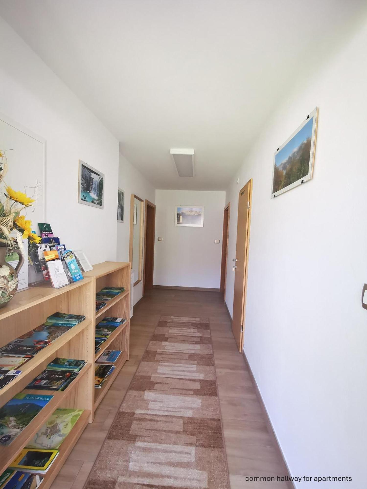 Apartment And Room Anica 톨민 외부 사진